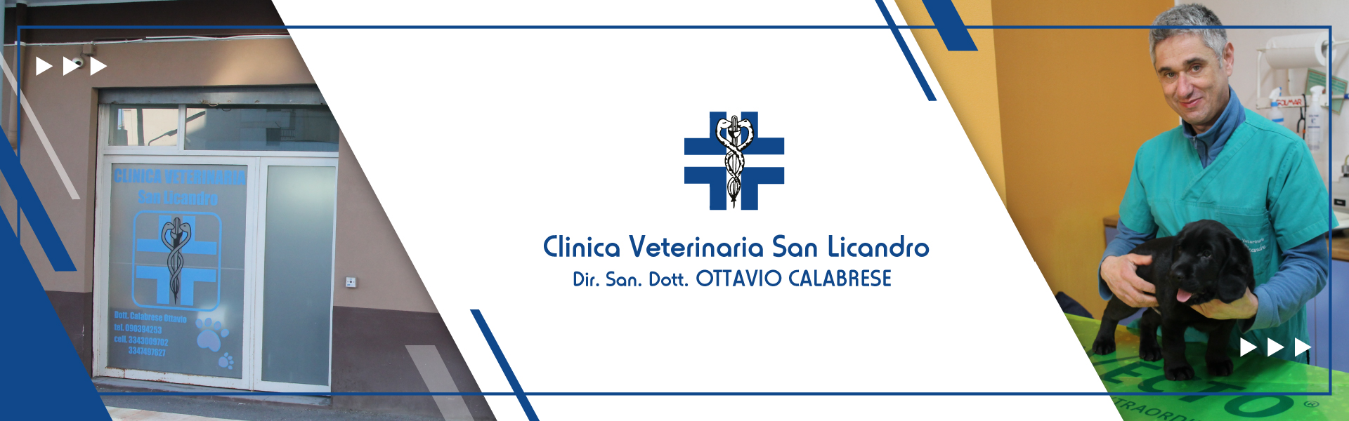 Header Clinica veterinaria Messina